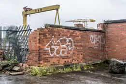 THE DOMINATING CRANES OF BELFAST [SAMSON AND GOLIATH]-235508-1