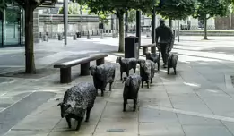 PUBLIC ART IN BELFAST-4-1