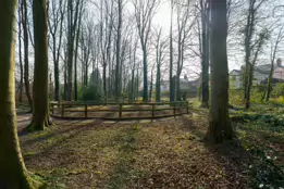 A BOMB CRATER AT STORMONT [THE BELFAST BLITZ]-203852-1