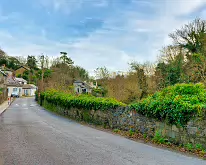 MARTIN'S ROW IN CHAPELIZOD [A SNAPSHOT FROM CHRISTMAS 2018]-232661-1