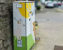 DEER SPOTTING BY DEBBIE CHAPMAN [CHAPELIZOD DECEMBER 30 2018]-232630-1