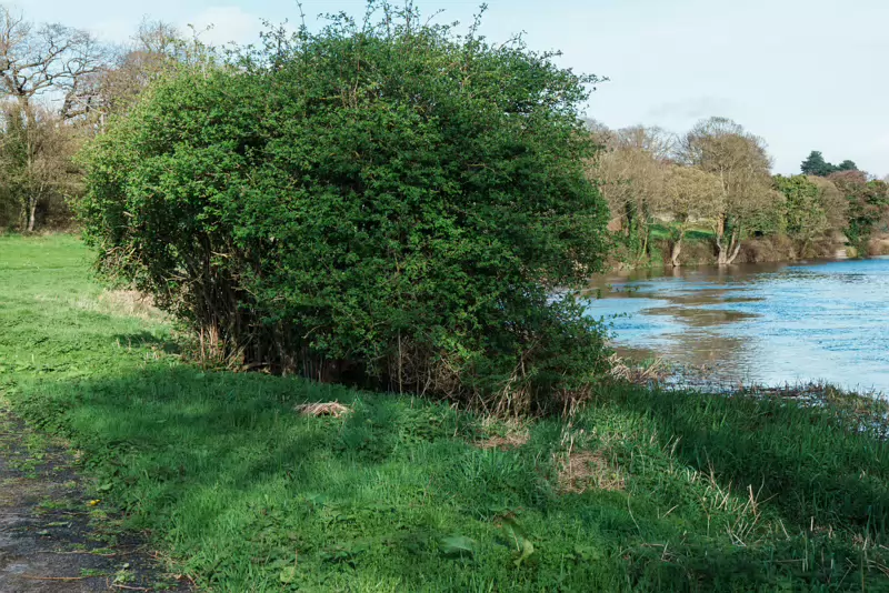 LIFFEY VALLEY PARK