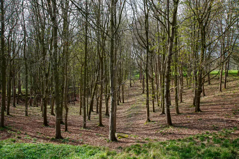 LOWER GLEN ROAD