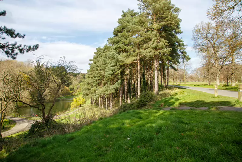 LOWER GLEN ROAD IN PHOENIX PARK [ON ROUTE TO THE FURRY GLEN]-223706-1