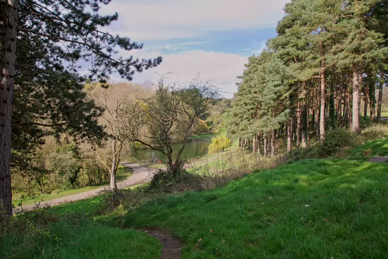 LOWER GLEN ROAD IN PHOENIX PARK [ON ROUTE TO THE FURRY GLEN]-223707-1