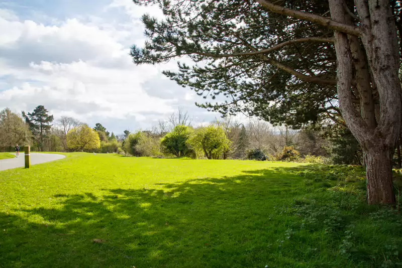 LOWER GLEN ROAD IN PHOENIX PARK [ON ROUTE TO THE FURRY GLEN]-223708-1