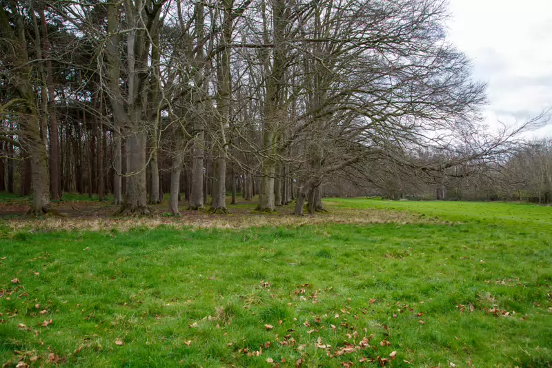 LOWER GLEN ROAD IN PHOENIX PARK [ON ROUTE TO THE FURRY GLEN]-223710-1