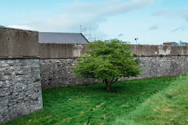 THE MAGAZINE FORT