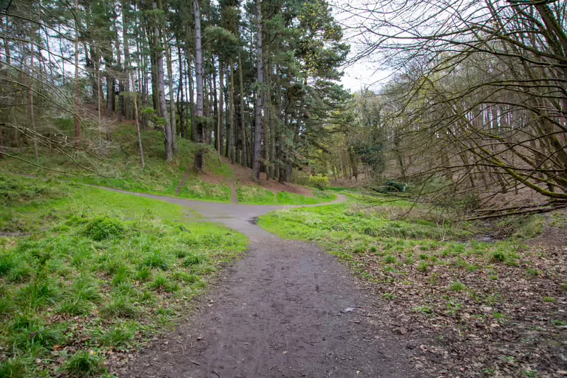 TODAY I VISITED THE FURRY GLEN 001 Up the airy mountain, Down the rushy glen, We daren't go a-hunting. For fear of little men; Wee folk, good folk, Trooping all together.