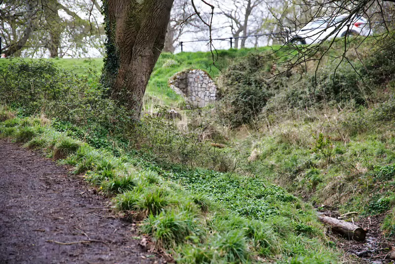 TODAY I VISITED THE FURRY GLEN 002 Up the airy mountain, in the heart of Dublin city, lies the Phoenix Park, a vast expanse of greenery and history. Within its bounds, you’ll find the Furry Glen,...