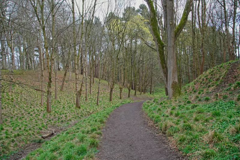 TODAY I VISITED THE FURRY GLEN 003 Down the rushy glen, where nature thrives, a new trail was inaugurated in 1975. This trail through the Furry Glen provides opportunities to learn about the...