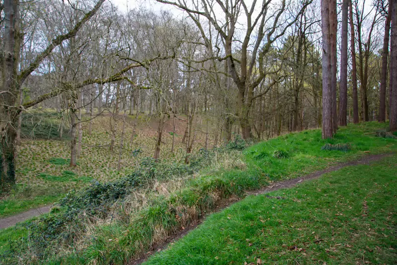 TODAY I VISITED THE FURRY GLEN 004 We daren’t go a-hunting, for this park is a sanctuary, a place of peace and preservation. Originally created in 1662 by the Lord Lieutenant of Ireland and Duke...