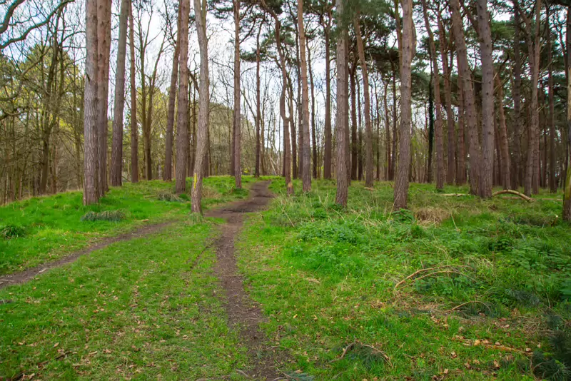 TODAY I VISITED THE FURRY GLEN 005 For fear of little men; Wee folk, good folk, Trooping all together. While there may not be little men, the park is filled with visitors who come to enjoy its...