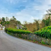 MARTIN'S ROW IN CHAPELIZOD [A SNAPSHOT FROM CHRISTMAS 2018]-232661-1