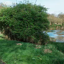 LIFFEY VALLEY PARK MORE INFORMATION