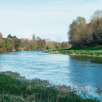 LIFFEY VALLEY PARK MORE INFORMATION