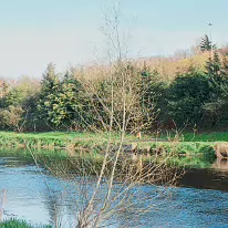 LIFFEY VALLEY PARK MORE INFORMATION