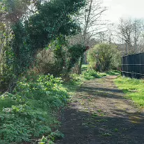 LIFFEY VALLEY PARK MORE INFORMATION