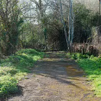 LIFFEY VALLEY PARK MORE INFORMATION