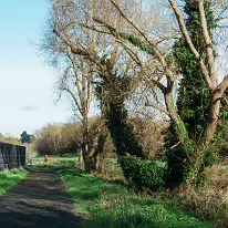 LIFFEY VALLEY PARK MORE INFORMATION