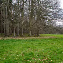 Lower Glen Road