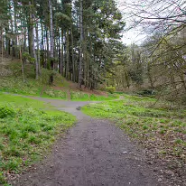 TODAY I VISITED THE FURRY GLEN 001 Up the airy mountain, Down the rushy glen, We daren't go a-hunting. For fear of little men; Wee folk, good folk, Trooping all together.