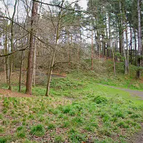 TODAY I VISITED THE FURRY GLEN 006 So, whether you’re a local resident or a visitor to Dublin, a trip to the Furry Glen in Phoenix Park offers a chance to step back in time, immerse yourself in...