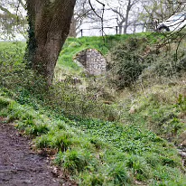 TODAY I VISITED THE FURRY GLEN 002 Up the airy mountain, in the heart of Dublin city, lies the Phoenix Park, a vast expanse of greenery and history. Within its bounds, you’ll find the Furry Glen,...