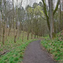 TODAY I VISITED THE FURRY GLEN 003 Down the rushy glen, where nature thrives, a new trail was inaugurated in 1975. This trail through the Furry Glen provides opportunities to learn about the...