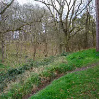 TODAY I VISITED THE FURRY GLEN 004 We daren’t go a-hunting, for this park is a sanctuary, a place of peace and preservation. Originally created in 1662 by the Lord Lieutenant of Ireland and Duke...