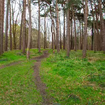 TODAY I VISITED THE FURRY GLEN 005 For fear of little men; Wee folk, good folk, Trooping all together. While there may not be little men, the park is filled with visitors who come to enjoy its...