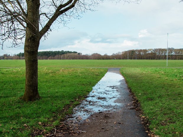 Military Road Located within Dublin's sprawling Phoenix Park, Military Road holds both historical significance and natural beauty....