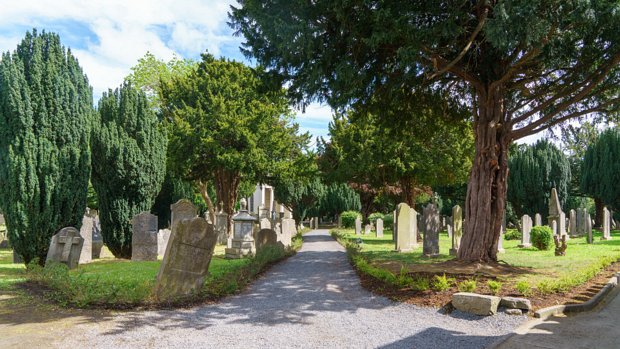 GOLDENBRIDGE CEMETERY