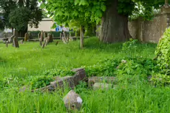 UNEARTHING YOUR IRISH ROOTS IN KILKENNY [A JOURNEY THROUGH ST JOHN'S CEMETERY]-245272-1