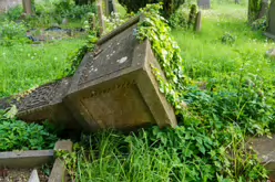 UNEARTHING YOUR IRISH ROOTS IN KILKENNY [A JOURNEY THROUGH ST JOHN'S CEMETERY]-245283-1