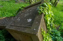 UNEARTHING YOUR IRISH ROOTS IN KILKENNY [A JOURNEY THROUGH ST JOHN'S CEMETERY]-245287-1