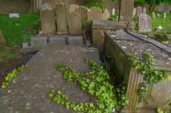 UNEARTHING YOUR IRISH ROOTS IN KILKENNY [A JOURNEY THROUGH ST JOHN'S CEMETERY]-245290-1