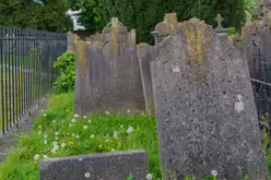 UNEARTHING YOUR IRISH ROOTS IN KILKENNY [A JOURNEY THROUGH ST JOHN'S CEMETERY]-245303-1