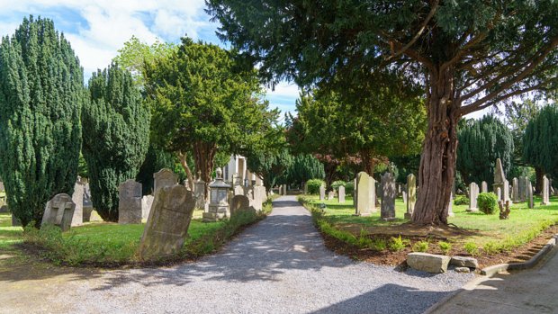 GOLDENBRIDGE CEMETERY In May 2017, this historic Dublin cemetery reopened its gates, offering new family burial plots for the first time in...