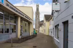 CARLOW CATHEDRAL [CATHEDRAL OF THE ASSUMPTION]-239695-1