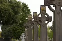 THERE ARE THOUSANDS OF CELTIC CROSSES IN GLASNEVIN CEMETERY [HERE ARE A FEW EXAMPLES]-232184-1