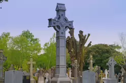 THERE ARE THOUSANDS OF CELTIC CROSSES IN GLASNEVIN CEMETERY [HERE ARE A FEW EXAMPLES]-232186-1