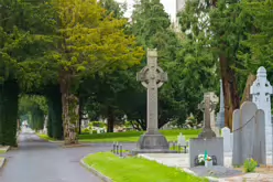 THERE ARE THOUSANDS OF CELTIC CROSSES IN GLASNEVIN CEMETERY [HERE ARE A FEW EXAMPLES]-232188-1