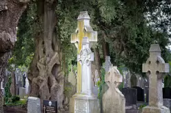 THERE ARE THOUSANDS OF CELTIC CROSSES IN GLASNEVIN CEMETERY [HERE ARE A FEW EXAMPLES]-232189-1