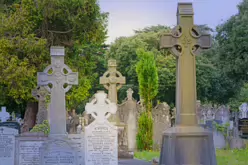 THERE ARE THOUSANDS OF CELTIC CROSSES IN GLASNEVIN CEMETERY [HERE ARE A FEW EXAMPLES]-232190-1