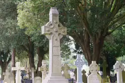 THERE ARE THOUSANDS OF CELTIC CROSSES IN GLASNEVIN CEMETERY [HERE ARE A FEW EXAMPLES]-232191-1