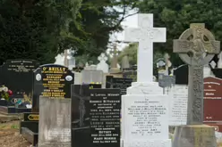 THERE ARE THOUSANDS OF CELTIC CROSSES IN GLASNEVIN CEMETERY [HERE ARE A FEW EXAMPLES]-232195-1