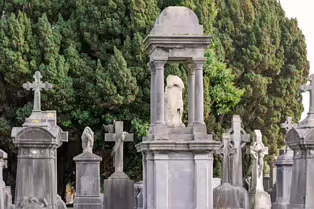 THE SECONDARY CIRCLE OF VAULTS AT GLASNEVIN CEMETERY [PHOTOGRAPHED USING THE NEW SONY 100MM MACRO LENS]-260322-1