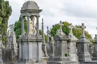 THE SECONDARY CIRCLE OF VAULTS AT GLASNEVIN CEMETERY [PHOTOGRAPHED USING THE NEW SONY 100MM MACRO LENS]-260324-1
