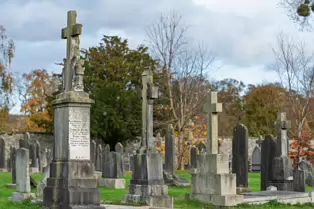 THE SECONDARY CIRCLE OF VAULTS AT GLASNEVIN CEMETERY [PHOTOGRAPHED USING THE NEW SONY 100MM MACRO LENS]-260325-1